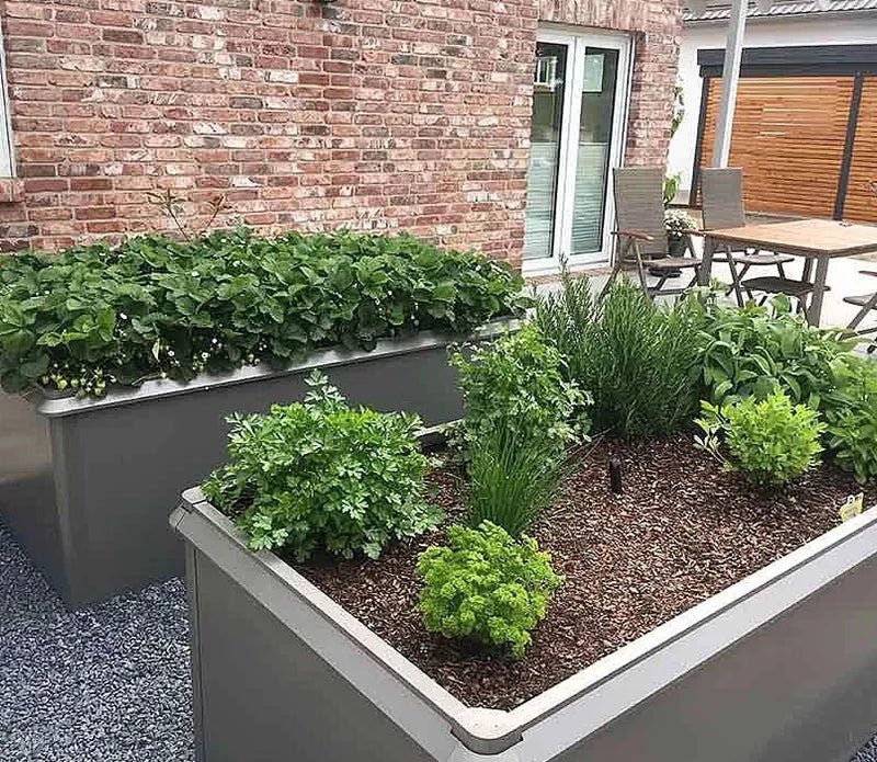 Raised Beds