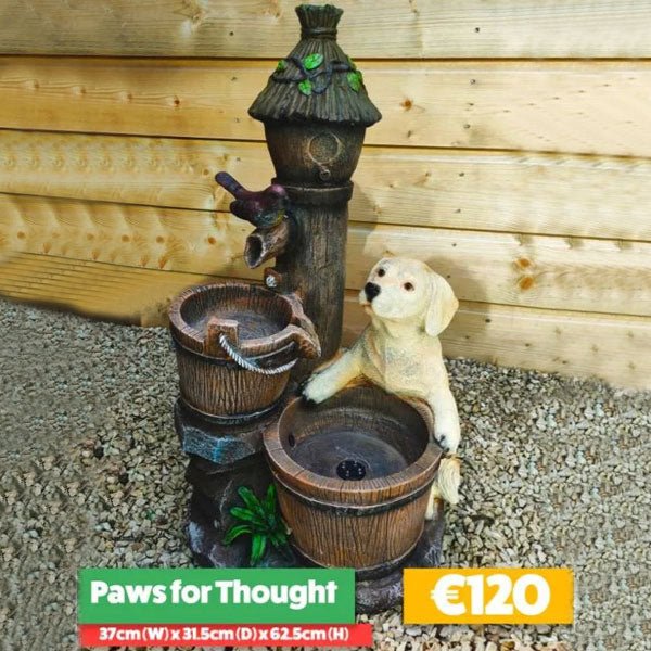 Paws For Thought Water Feature