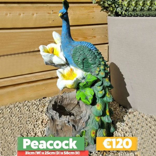 Peacock Water Feature