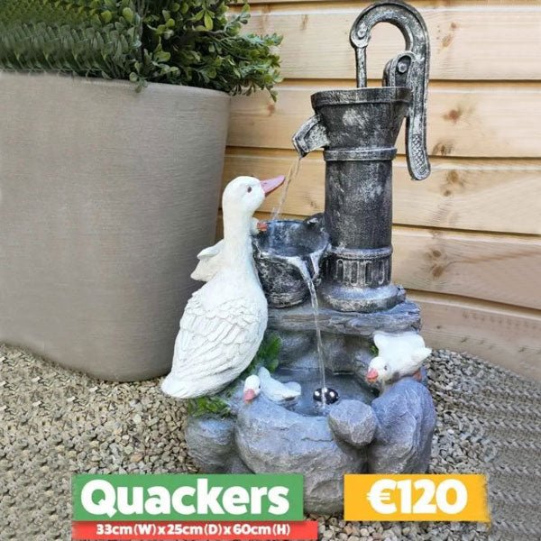 Duck Water Feature