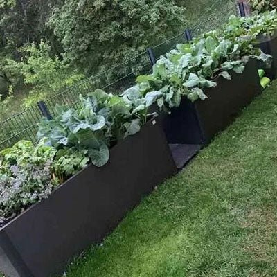 Biohort Raised Vegetable Bed